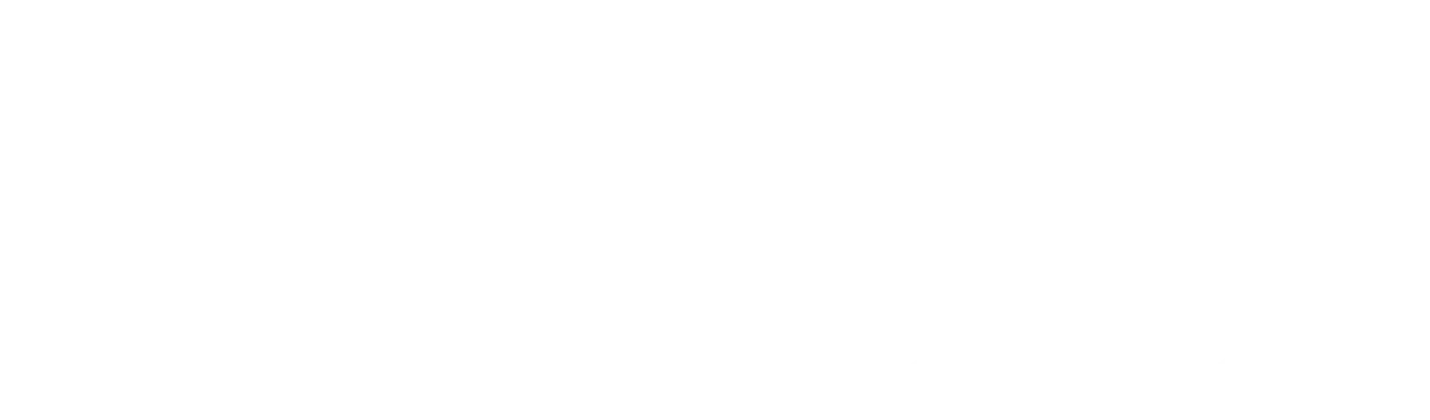 Peruzzi Baiocchi Assicurazioni